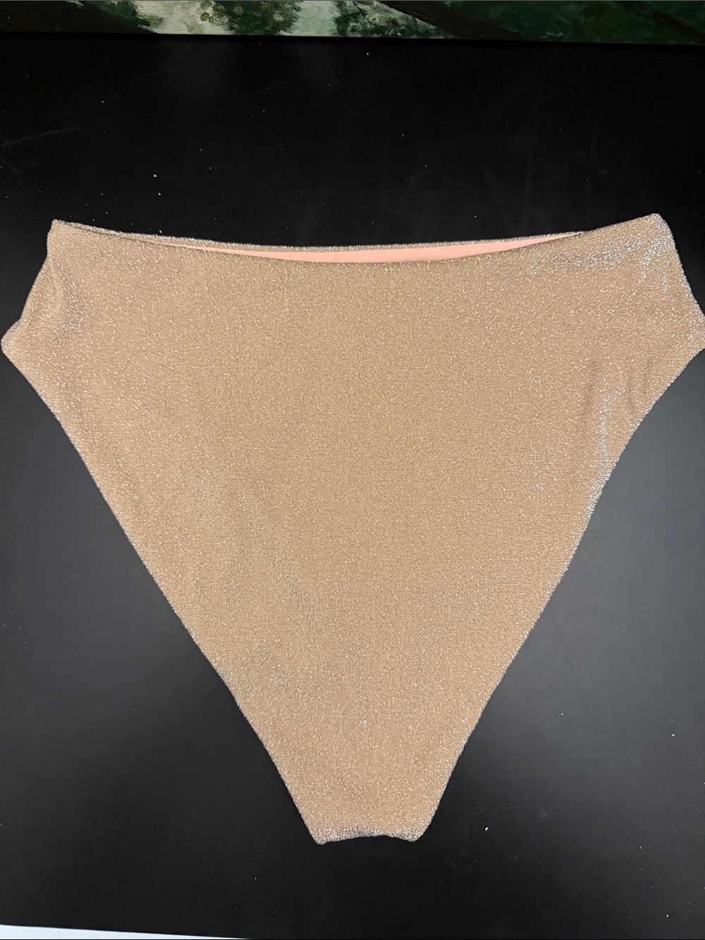 Beach Riot Bathing Suit Bottom - Picture 2 of 6
